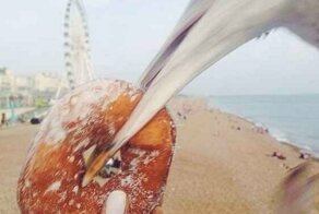 20 юмористических фотографий с отдыха, который был худшим в жизни