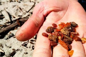 Сбор янтаря в Калининграде. Аэросъемка