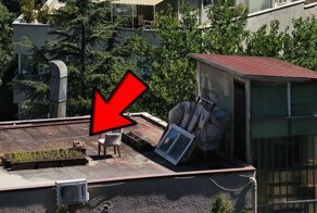 Дачный сезон открыт