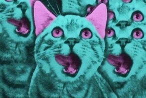 Картинки не для всех