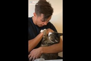 Да что он себе позволяет?! Реакция кота на ответный "кусь" от хозяина