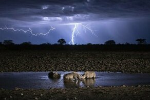 Впечатляющие номинанты фотоконкурса National Geographic Travel 2019