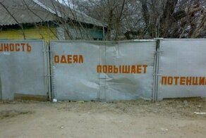 Что здесь происходит, ёшкин крот?!