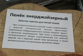 Пень энерджайзерный, или 20 оригинальных товаров от богов отечественного маркетинга