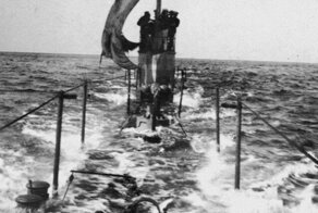 Щука под парусом