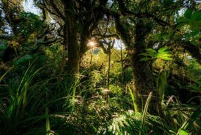 Наша планета