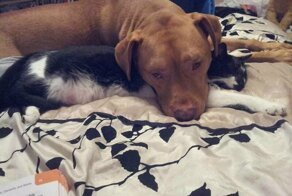 Пост о дружбе