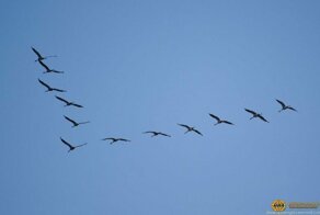 Чудо 9 мая в небе над Николаевом