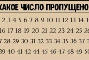 Сравнение сайтов, где можно размять мозги