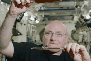 Космический пинг-понг, футбол  в невесомости и восход на МКС