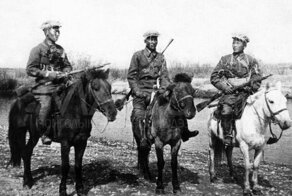 Главный союзник СССР или лошадки МНР