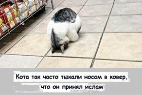 15 картинок, в которых комментарии интереснее фотографий