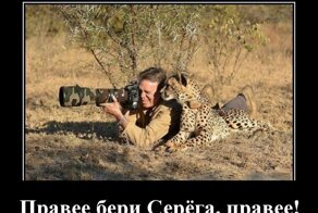 Свежая подборка демотиваторов, которые поднимут вам настроение