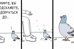 Если бы птицы могли говорить