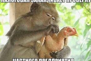 Смешные картинки