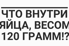 Куриное яйцо весом 120 грамм!