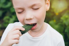 Невкусные пупырышки, или Почему горчат огурцы