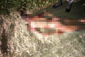 Наркомана раздели и зарубили из-за долгов