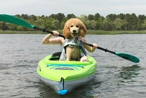 20 человек, которые успели сделать фотографию в нужный момент