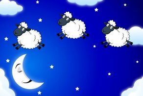 Раз овечка, два овечка: почему считают именно этих животных?