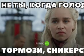 Шок фанатов от 8 сезона Игры Престолов подстегнул их фантазию