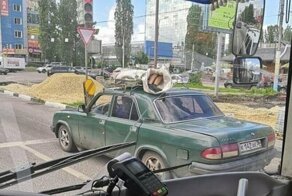 По Воронежу провезли покойника на крыше