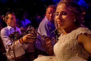 20 неожиданных фотографий, ставших шедеврами благодаря фону