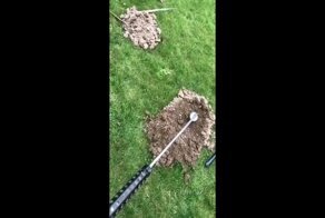 Не стоило взрывать нору суслика на своем участке