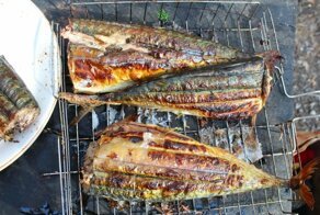Скумбрия на мангале