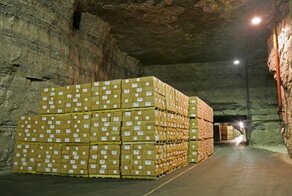 Арестован директор НИИ проблем хранения Росрезерва Сергей Уланин