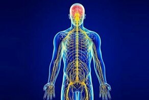 Как улучшить работу своего мозга
