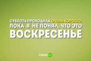Уставшие бедолаги, на которых даже больно смотреть