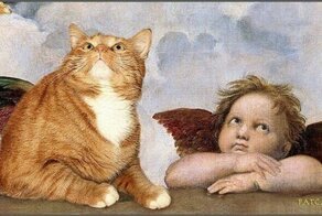 Любая картина становится краше, если добавить в нее толстого котика!