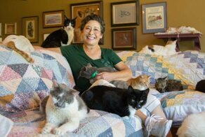 Кошкин дом: американка приютила более 1000 усатых-полосатых