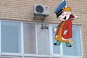 И так сойдет!