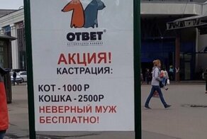 Заманчивая акция: петербургская ветклиника предложила бесплатно кастрировать мужей-изменников