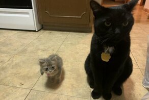 С добрым утром!