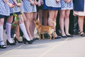 Каблуки, чулки, банты. Ослепительные выпускницы школ 2019 года