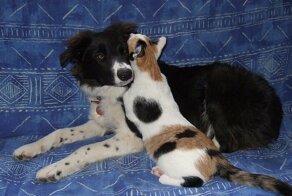 По секрету от всего света