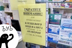 Когда бесит абсолютно всё