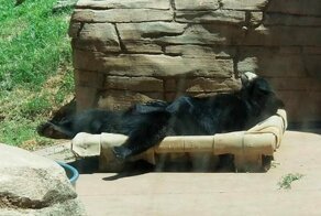 Для настроения