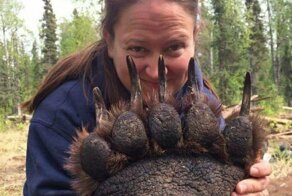 17 фотографий животных, которые на своём примере показывают, что размеры познаются в сравнении