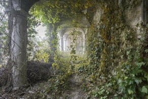 Фотограф ищет места, где природа побеждает цивилизацию