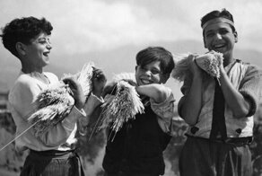 Как делают макароны: реальный процесс макаронных фабрик 20 века