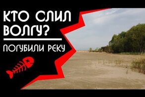 Почему обмелела волга? Полный масштаб бедствия. сми молчат!