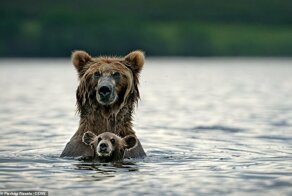Потрясающие снимки с фотоконкурса Cewe Photo Award