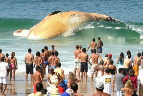 Невероятные кадры без фотошопа