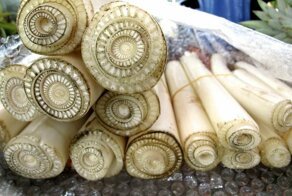 30 разрезанных пополам вещей, в которых есть на что посмотреть