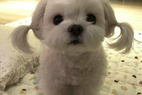 Завтра тебе сильно не понравится, что сегодня ты ещё не спишь