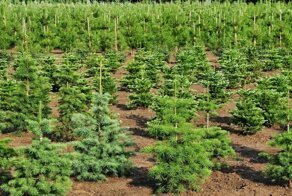 Позитивные новости о России 03.06.2019